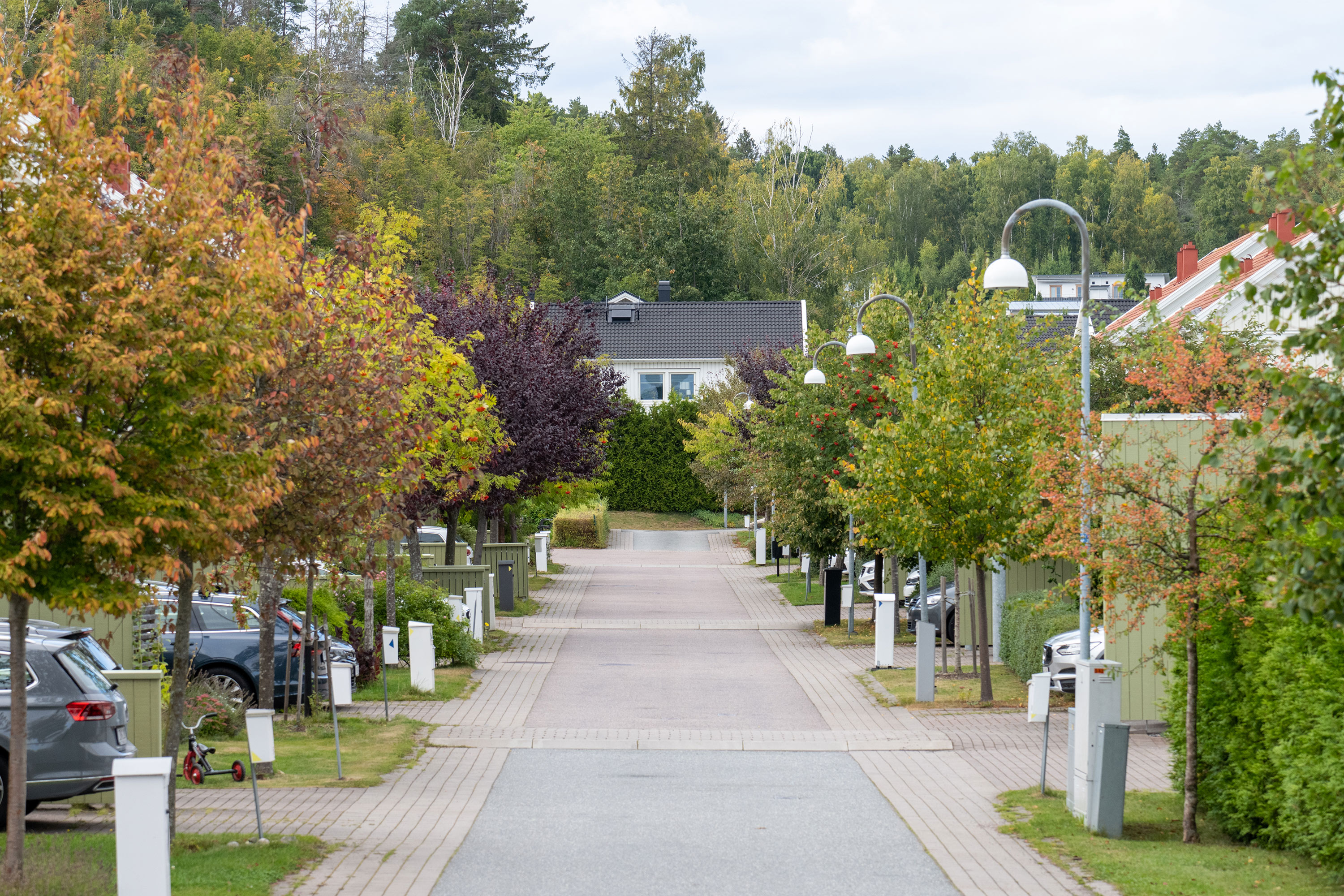 gata med parkerade bilar på våren